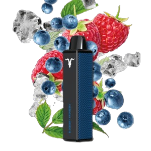 Ignite V600 Blueberry Raspberry Vape 20mg/ml