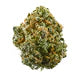 Galactic Guava - Feminisierte Samen - Indica